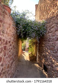 Medieval Stone Alleyway With Green Purple Flowered Vines