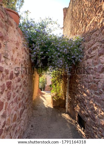 Medieval Stone Alleyway With Green Purple Flowered Vines