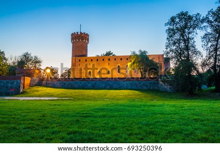Medieval Teutonic castle in Swiecie at night, Poland Zdjęcia stock © 