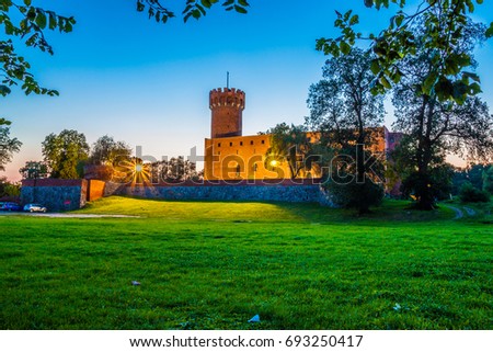 Medieval Teutonic castle in Swiecie at night, Poland Zdjęcia stock © 