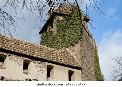 Medieval Tower Charm: A rustic stone tower covered in lush green ivy, with a tiled roof and arched windows, stands under a bright blue sky, exuding historical allure and timeless beauty.