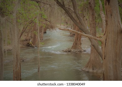 Medina River Castroville, Tx