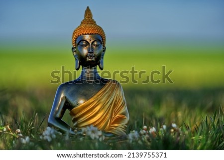 Meditating Buddha figure in nature