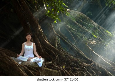 Meditation, Ananda Yoga