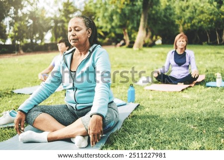 Meditation, Senior people enjoy yoga meditation training in nature park. Harmony, focus, wellness life style concept