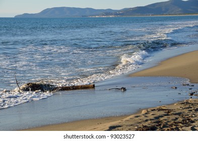 Mediterranean