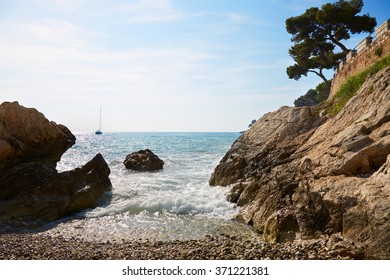 Mediterranean Coast And Sea With Maritime Pine, French Riviera