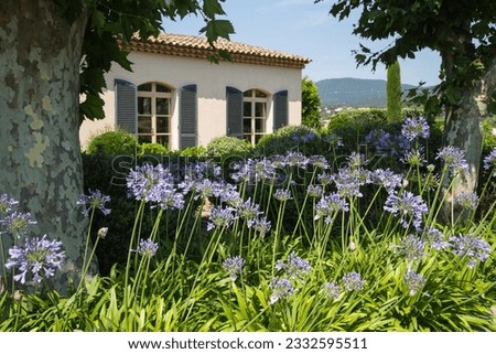 Mediterranean garden design and landscaping, Provence, France: Beautifully planted front garden of a winery with violet agapanthus lilies and various green plants and bushes between old plane trees