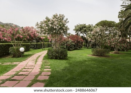 Similar – Image, Stock Photo Lush blooming oleander bush and a small dog nearby. Happy dog sits in front of vibrant pink flowering bush.