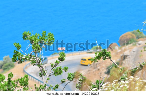 Mediterranean landscape and road between\
mountains and sea. Blurred. Focus on the bushes in\
front.