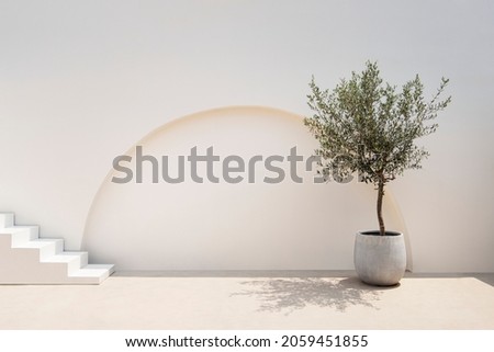 Mediterranean minimal wall and plant exterior architecture
