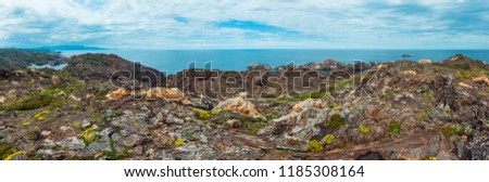 Similar – Image, Stock Photo Costa Brava Nature