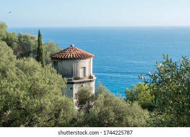 Mediterranean Sea From The Hill Colline Du Château In Nice In France