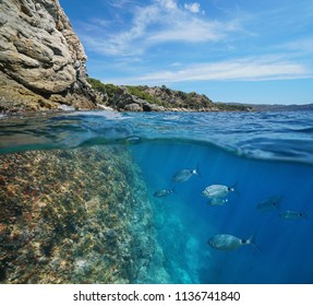 Mediterranean sea rocky coast with fish underwater, split view above and below water surface, Spain, Costa Brava, Roses, Punta Falconera, Catalonia, Girona