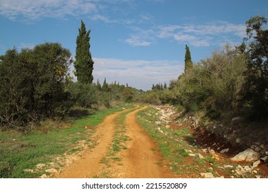 Mediterranean, Windy Road In Croatia.