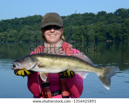 The medium bronze walleye fish being held horizontally in gloved hands over blue water a net and fishing rod on a sunny day