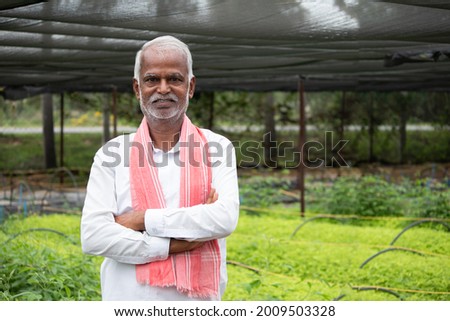 Medium close up shot of smiling senior Inidan Farmer with arms crossed confidently standing in the greenhouse or poly house with grown green samplings behind.