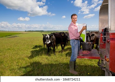 A Medium Shot Of A Farmer Smiling At Camera While Preparing Feed For Cattle On A Truck Bed In A Sunny Rural Field.