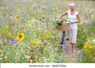 A medium shot of a happy senior woman pushing a bicycle carrying a basket on a path through wildflowers field. - Powered by Shutterstock