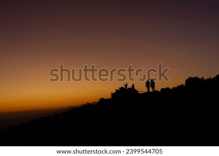 Medium shot of silhuette of people standing against orange colorful sunset sky in joshua tree national park in america, usa