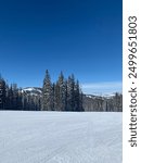 A medium shot of Vail Ski Mountain reveals pristine snow-covered slopes under clear blue skies. Tall, dark green trees frame the scene, creating a serene, untouched winter landscape with no people.