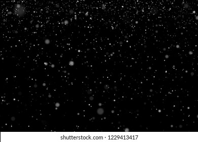 Medium Soft Weather Snow Falling Isolated On Black.