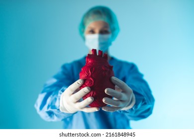 Medium studio shot over blue background of a female doctor dressed in blue scrubs holding an artificial dark red heart. Focus on the foreground. High quality photo