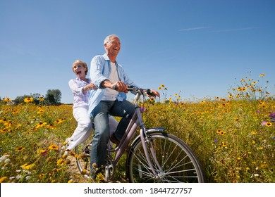 Medium wide shot happy elderly couple riding a bicycle together in a meadow full of wildflowers. - Powered by Shutterstock