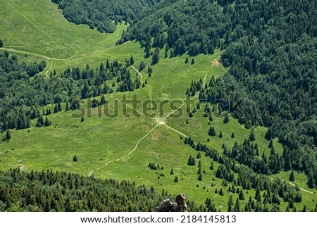 Similar – Foto Bild Coniferous forest in the alps