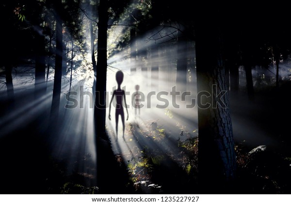 The\
meeting with an alien civilization - blurred aliens figure and\
light of an UFO spaceship landing in the\
forest