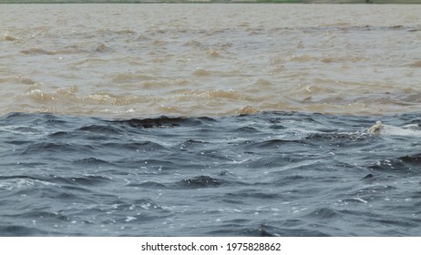 Meeting Of The Waters Of The Rio Negro And Solimões