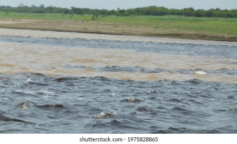 Meeting Of The Waters Of The Rio Negro And Solimões