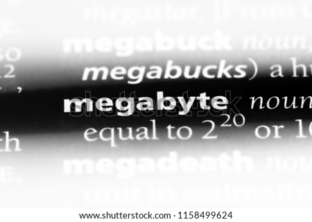 megabyte word in a dictionary. megabyte concept.