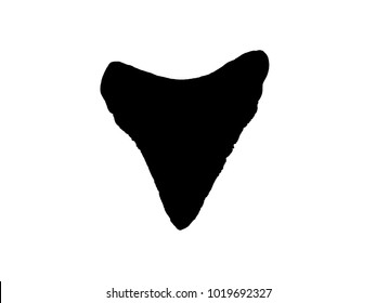 Megalodon Shark Images, Stock Photos & Vectors | Shutterstock