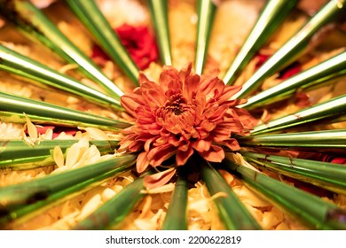 Mehendi Cones And Flower Decoration For Wedding 