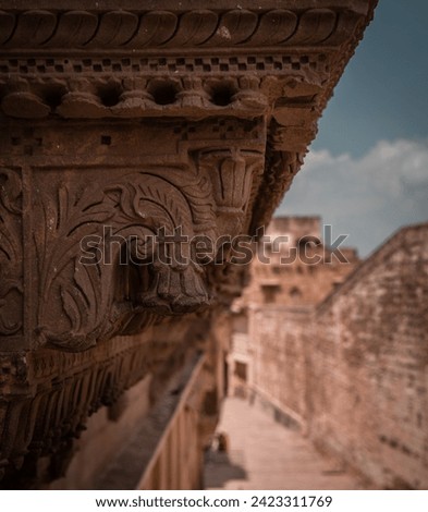 Mehrangarh Rajasthan fort intricate red sandstone carvings