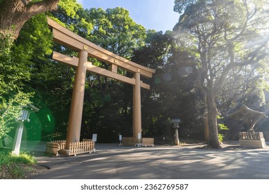 Meiji Jingu Shrine, the first torii gate. Tokyo, Japan