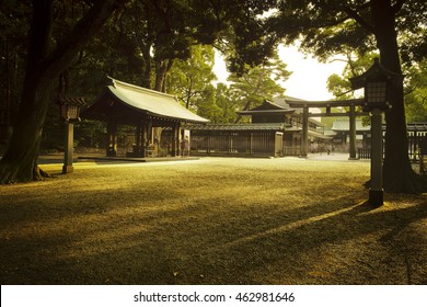 Meiji Shrine At Sunset