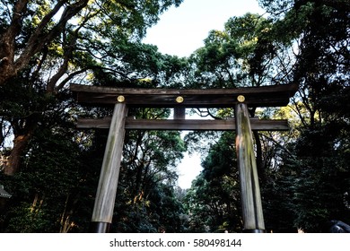 Meji Shrine