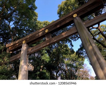 Meji Shrine In Tokyo Japan