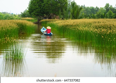 Mekong delta landscape with Vietnamese woman rowing boat on Nang - type of rush tree field, South Vietnam