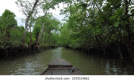 The Mekong Delta River Vietnam 