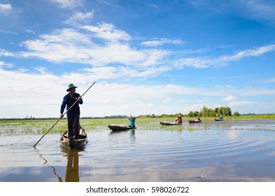 MEKONG DELTA, VIETNAM - 22 DEC: farmers are rowing on flooding rice field in Mekong delta, Vietnam, Dec 22, 2016
