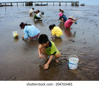 MEKONG DELTA, VIETNAM- JULY 8:Unidentified Children, Women Working On Beach When Tide Going Out, People Rake Black Sand To Catch Sell Fish, Many Child Labor At Poor Countryside, Viet Nam, July 8, 2014