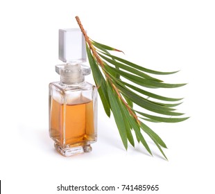 Melaleuca (tea Tree) Essential Oil With Twig. Isolated On White Background.