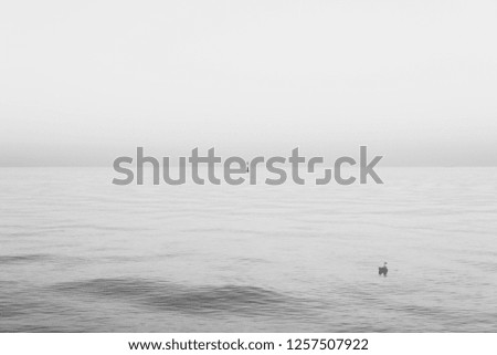 Similar – Foto Bild l l l l l See Meer Ferne