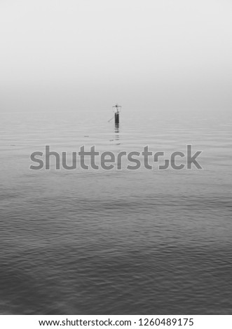 Similar – Foto Bild l l l l l See Meer Ferne