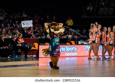 79 Sport Mascot Australia Stock Photos, Images & Photography | Shutterstock