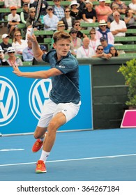 Melbourne, Australia, 2016 January 15: David Goffin Of Belgium At An Exhibition And Practice Match At Kooyong Tennis Club 