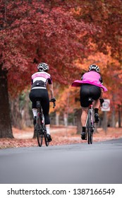 Melbourne, Australia - April 16, 2019: Two Cyclists Cycling Through Road Covered By Autumn Colored Trees.